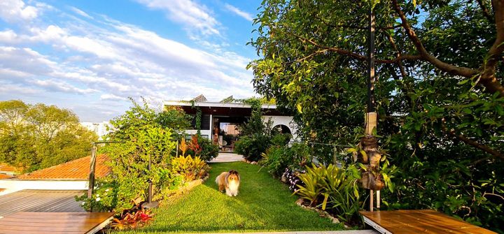 Casa para venda possui 466 metros quadrados com 4 quartos em Vila Ipojuca – São Paulo – SP