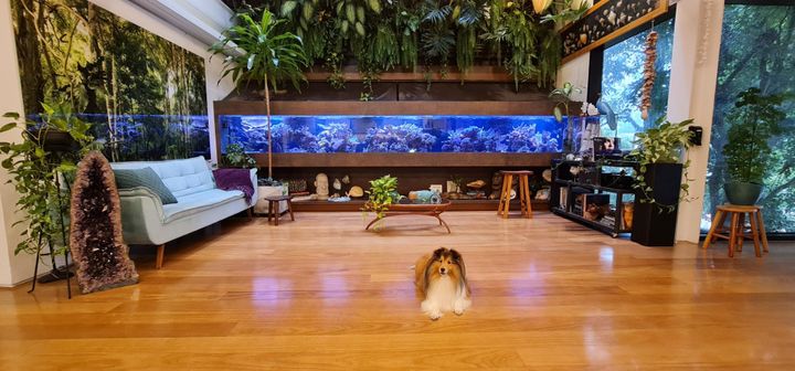 Casa para venda possui 466 metros quadrados com 4 quartos em Vila Ipojuca – São Paulo – SP