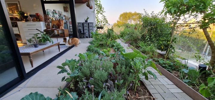 Casa para venda possui 466 metros quadrados com 4 quartos em Vila Ipojuca – São Paulo – SP