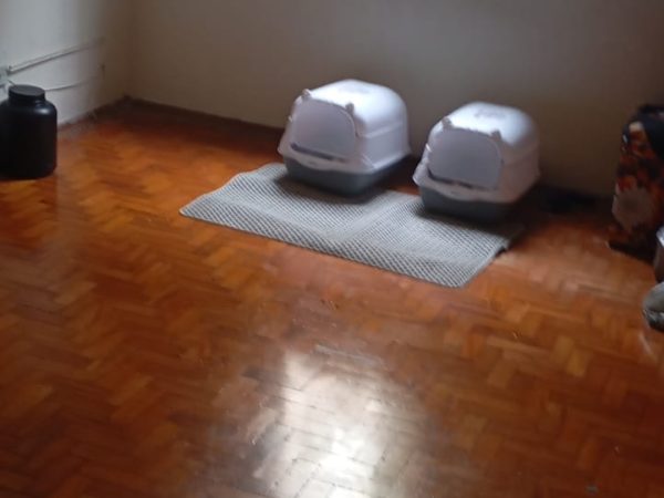 APARTAMENTO A VENDA – 2 DORMITORIOS LAPA DE BAIXO